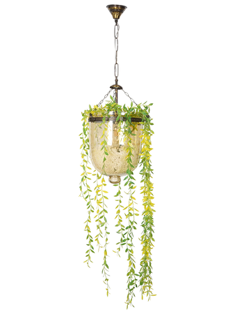 Planter-BellJar-Lust-HL1 (14).jpg