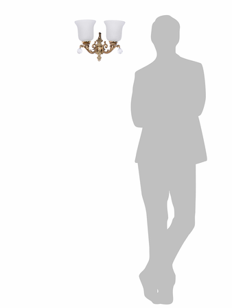 Frog-Crown-WL2 (04).jpg