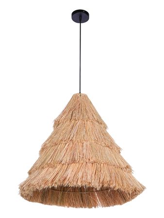 MunjaHayCone-23-HL1 (1).jpg